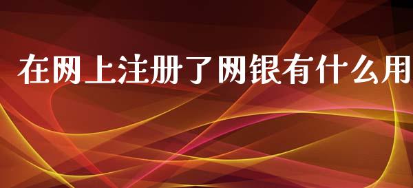 在网上注册了网银有什么用_https://wap.15771688.com_原油期货直播室_第1张
