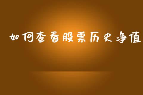 如何查看股票历史净值_https://wap.15771688.com_原油期货直播室_第1张