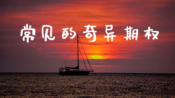 常见的奇异期权_https://wap.15771688.com_道指期货_第1张
