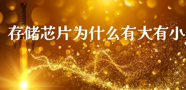 存储芯片为什么有大有小_https://wap.15771688.com_道指期货_第1张