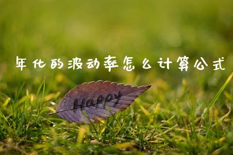 年化的波动率怎么计算公式_https://wap.15771688.com_期货手续费一览表_第1张