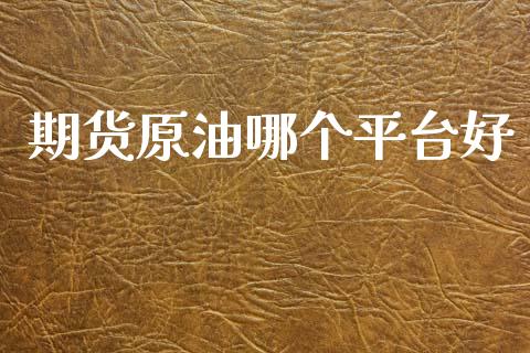 期货原油哪个平台好_https://wap.15771688.com_道指期货_第1张