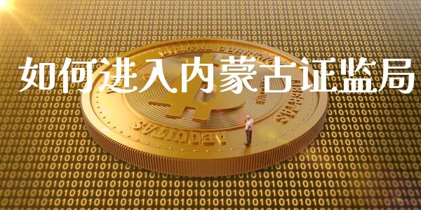如何进入内蒙古证监局_https://wap.15771688.com_道指期货_第1张