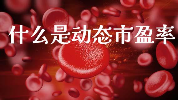 什么是动态市盈率_https://wap.15771688.com_原油期货直播室_第1张