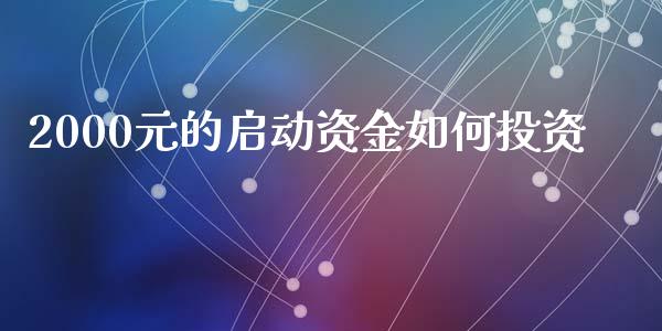 2000元的启动资金如何投资_https://wap.15771688.com_期货手续费一览表_第1张