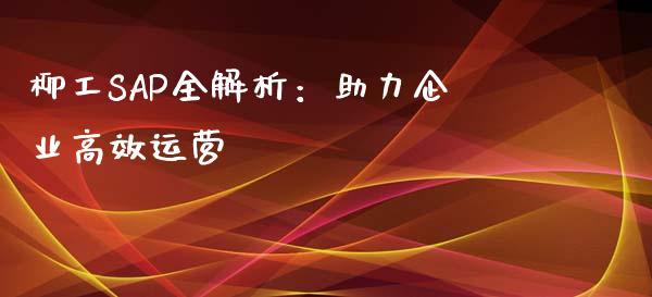 柳工SAP全解析：助力企业高效运营_https://wap.15771688.com_未分类_第1张