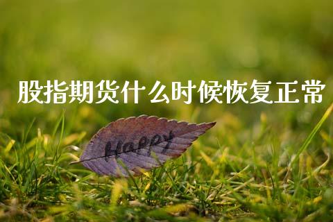 股指期货什么时候恢复正常_https://wap.15771688.com_国际期货_第1张