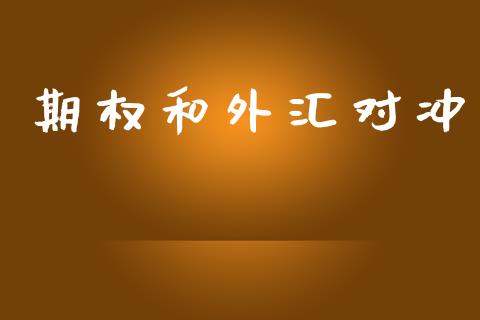 期权和外汇对冲_https://wap.15771688.com_期货手续费一览表_第1张