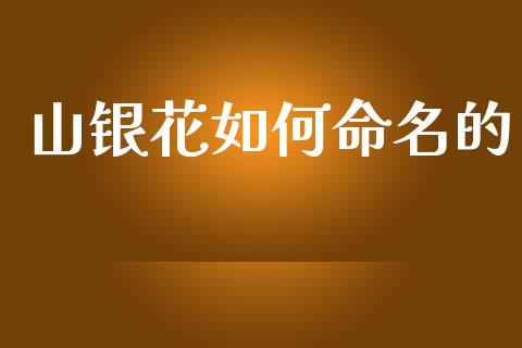 山银花如何命名的_https://wap.15771688.com_道指期货_第1张