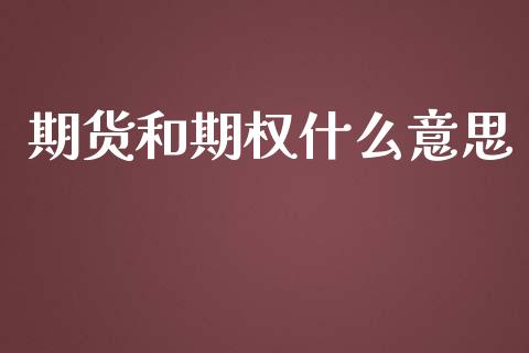 期货和期权什么意思_https://wap.15771688.com_道指期货_第1张