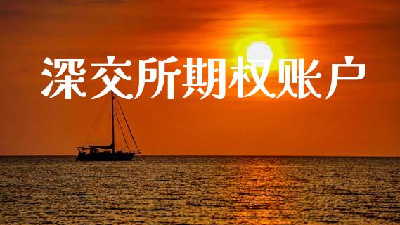 深交所期权账户_https://wap.15771688.com_国际期货_第1张