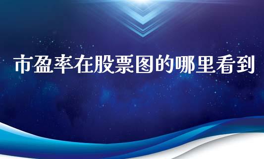 市盈率在股票图的哪里看到_https://wap.15771688.com_期货手续费一览表_第1张