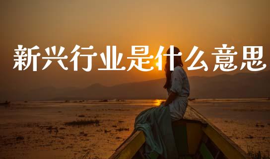 新兴行业是什么意思_https://wap.15771688.com_期货手续费一览表_第1张