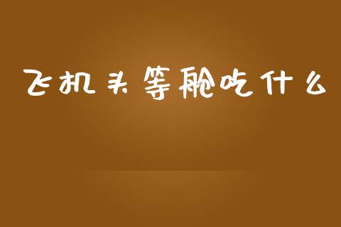 飞机头等舱吃什么_道指期货_第1张_原油期货直播室_道指期_期货手续费一览表_国际期货 飞机头等舱吃什么_https://wap.15771688.com_道指期货_第1张