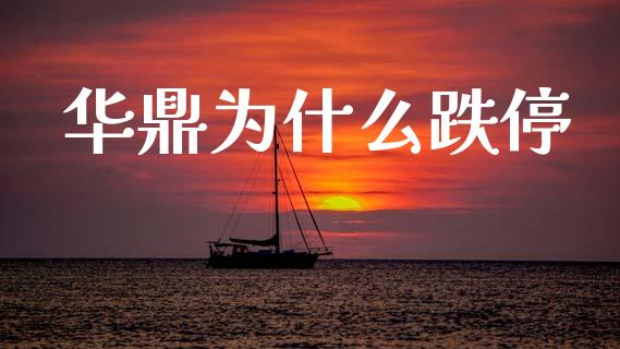 华鼎为什么跌停_https://wap.15771688.com_道指期货_第1张
