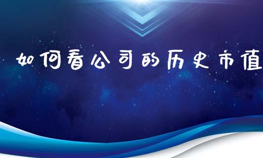 如何看公司的历史市值_https://wap.15771688.com_原油期货直播室_第1张