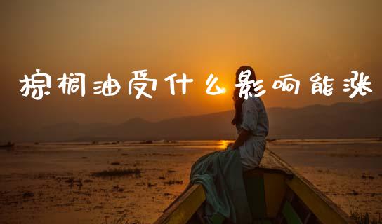 棕榈油受什么影响能涨_https://wap.15771688.com_期货手续费一览表_第1张