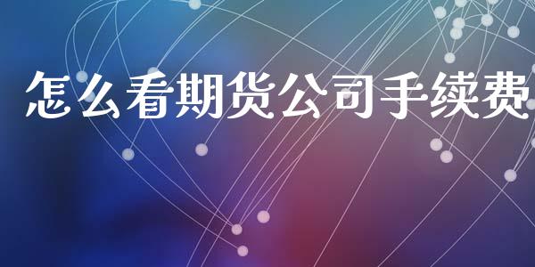 怎么看期货公司手续费_https://wap.15771688.com_国际期货_第1张