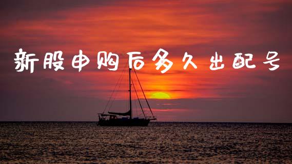 新股申购后多久出配号_https://wap.15771688.com_期货手续费一览表_第1张