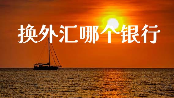 换外汇哪个银行_https://wap.15771688.com_期货手续费一览表_第1张