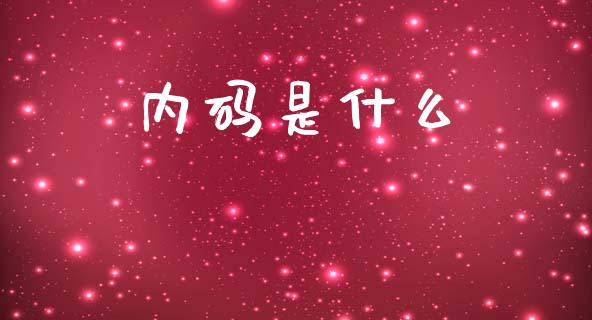 内码是什么_https://wap.15771688.com_道指期货_第1张