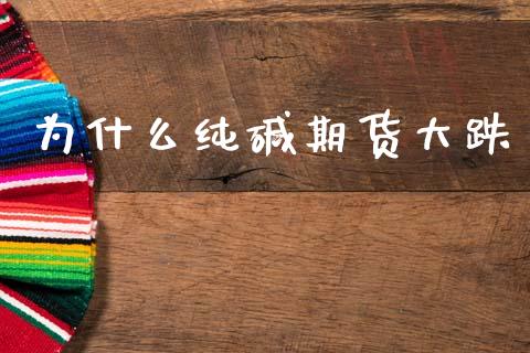 为什么纯碱期货大跌_期货手续费一览表_第1张_原油期货直播室_道指期_期货手续费一览表_国际期货 为什么纯碱期货大跌_https://wap.15771688.com_期货手续费一览表_第1张