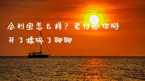 合利宝怎么样？老付给你掰开了揉碎了聊聊_https://wap.15771688.com_期货手续费一览表_第1张