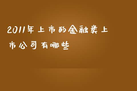 2011年上市的金融类上市公司有哪些_https://wap.15771688.com_期货手续费一览表_第1张
