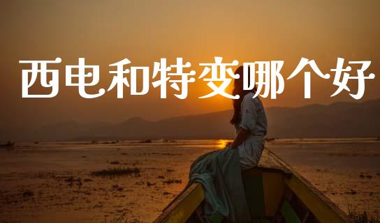 西电和特变哪个好_https://wap.15771688.com_道指期货_第1张