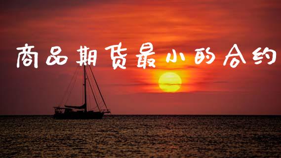 商品期货最小的合约_https://wap.15771688.com_国际期货_第1张