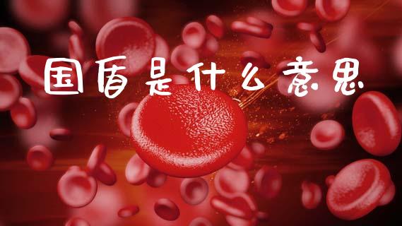 国盾是什么意思_https://wap.15771688.com_期货手续费一览表_第1张
