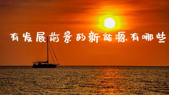 有发展前景的新能源有哪些_https://wap.15771688.com_期货手续费一览表_第1张