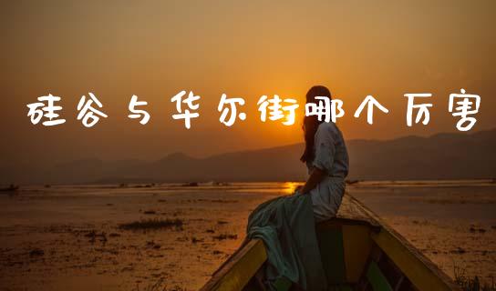 硅谷与华尔街哪个厉害_https://wap.15771688.com_期货手续费一览表_第1张