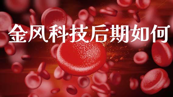 金风科技后期如何_国际期货_第1张_原油期货直播室_道指期_期货手续费一览表_国际期货 金风科技后期如何_https://wap.15771688.com_国际期货_第1张