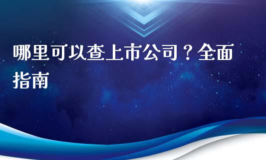 哪里可以查上市公司？全面指南_https://wap.15771688.com_道指期货_第1张