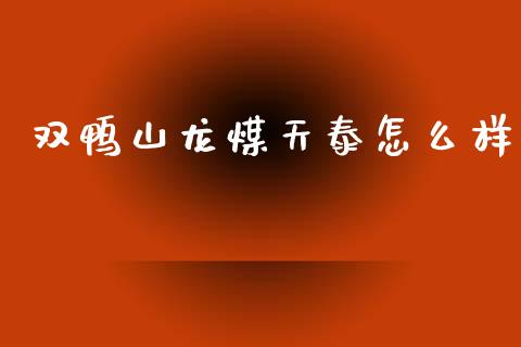 双鸭山龙煤天泰怎么样_https://wap.15771688.com_国际期货_第1张