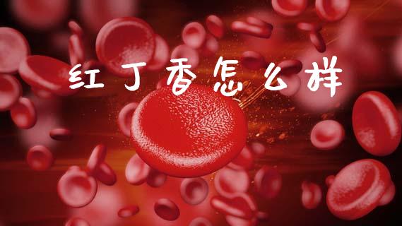红丁香怎么样_https://wap.15771688.com_道指期货_第1张