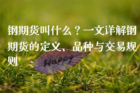 钢期货叫什么？一文详解钢期货的定义、品种与交易规则_https://wap.15771688.com_国际期货_第1张