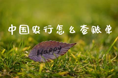 中国农行怎么查账单_https://wap.15771688.com_期货手续费一览表_第1张