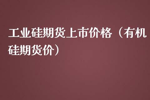 工业硅期货上市价格（有机硅期货价）_https://wap.15771688.com_道指期货_第1张