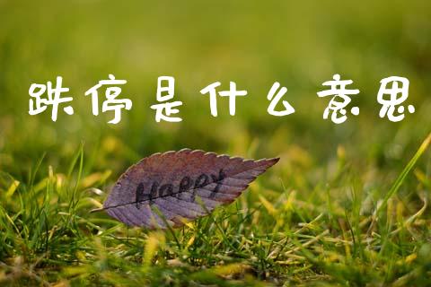 跌停是什么意思_https://wap.15771688.com_原油期货直播室_第1张