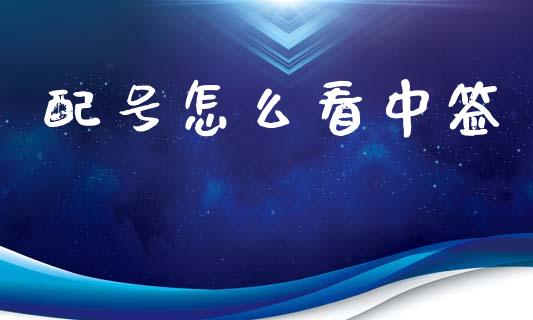 配号怎么看中签_https://wap.15771688.com_期货手续费一览表_第1张