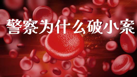 警察为什么破小案_https://wap.15771688.com_期货手续费一览表_第1张