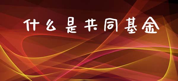 什么是共同基金_https://wap.15771688.com_国际期货_第1张