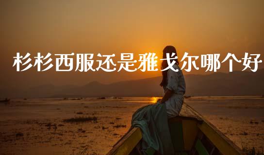 杉杉西服还是雅戈尔哪个好_https://wap.15771688.com_国际期货_第1张