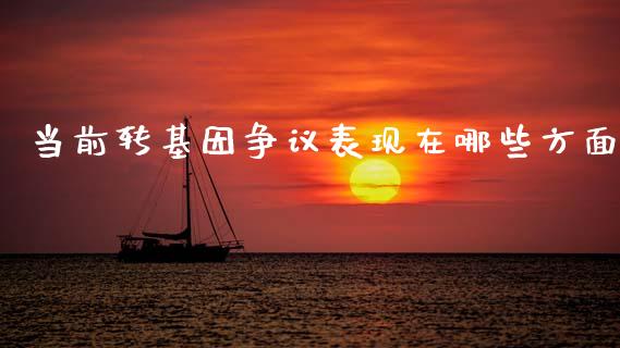当前转基因争议表现在哪些方面_https://wap.15771688.com_期货手续费一览表_第1张