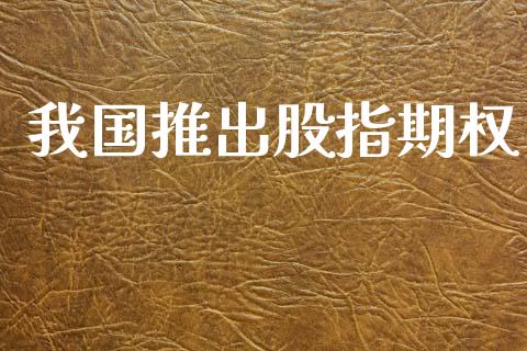 我国推出股指期权_https://wap.15771688.com_国际期货_第1张