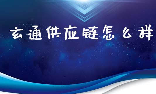 玄通供应链怎么样_https://wap.15771688.com_期货手续费一览表_第1张