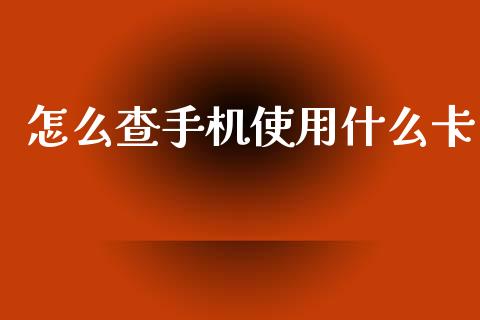 怎么查手机使用什么卡_https://wap.15771688.com_期货手续费一览表_第1张