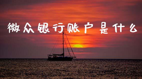 微众银行账户是什么_https://wap.15771688.com_期货手续费一览表_第1张